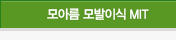 모아름 모발이식 MIT
